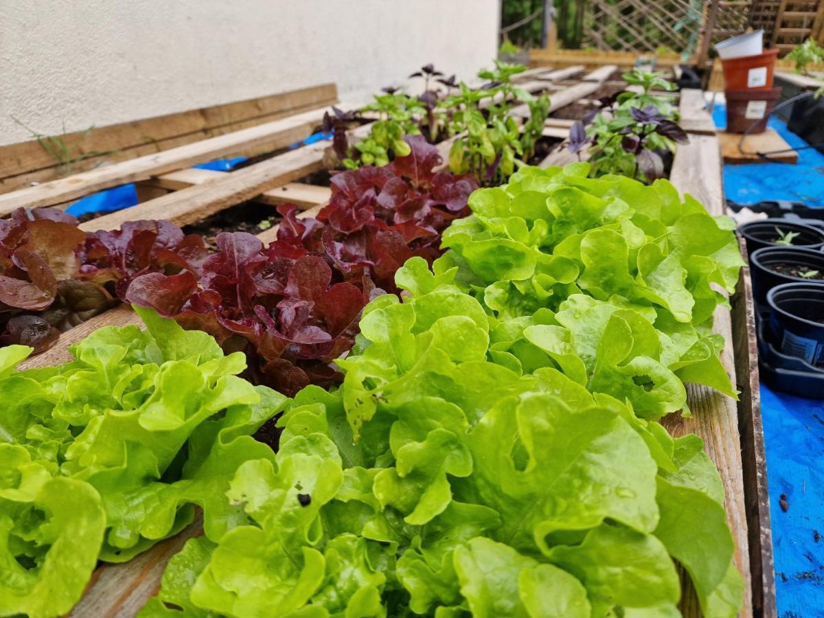 La Forestine Bergerac Eksteriør billede